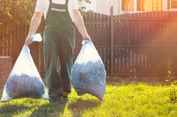 Best Affordable Junk Removal Services  in Williams, AZ